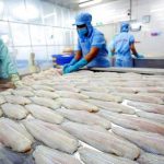 Vietnam seafood giant remains stubbornly in the red